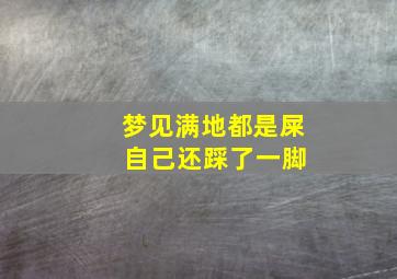 梦见满地都是屎 自己还踩了一脚